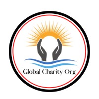 Global Charity Organization logo - Similar company to Brainysoftware