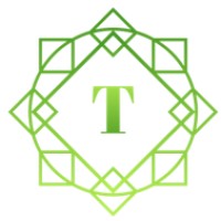 Tempest Risk Management and The Business Navigator logo - Similar company to Genius Solutions Inc