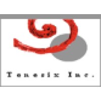 Tenesix Inc.