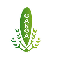 Ganga Roller Flour Mills Pvt Ltd logo - Similar company to Delhi Flour Mills