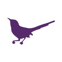 Creative Occasions logo - Similar company to Stark Agency Ltd