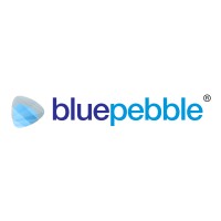 Blue Pebble Limited logo - Similar company to Blue Pebbles