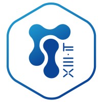 XIII-IT logo - Similar company to I2Ts