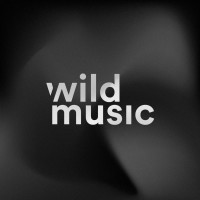 Wild Music logo - Similar company to Jauria