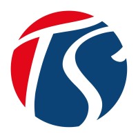 TALENT SOLUTIONS INTL logo - Similar company to Stoop84 Media