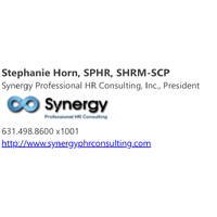 Synergy Professional HR Consulting, Inc. logo - Similar company to Eclipse Legal Search