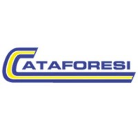 Cataforesi S.r.l. logo - Similar company to Drim®