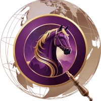 Discover Equestrian logo - Similar company to Graheight Group