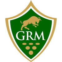 GRM Bulls and Bonds Pvt. Ltd logo - Similar company to Witty Adverts