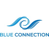 BLUE CONNECTION logo - Similar company to Bluetechnology - Ito