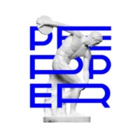 Pepper Hot Studio logo - Similar company to Skillgo Us