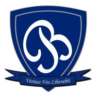 Blue Net China logo - Similar company to C-53