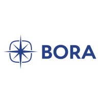 BORA Systems logo - Similar company to Prolimb