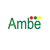 Ambe Phytoextracts Pvt. Ltd logo - Similar company to Hbmk Global Private Limited
