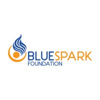 BlueSpark Foundation logo - Similar company to 2Econd Chance