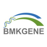 BMKGENE AMEA logo - Similar company to Job2Be