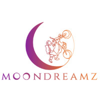 Moondreamz Inc logo - Similar company to Practical Payments