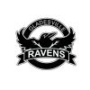 Gladesville Ravens logo - Similar company to Us Trégunc