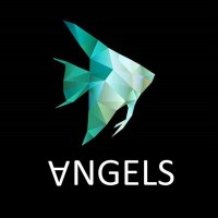 ANGELS IT SOLUTIONS logo - Similar company to Sales Force Data