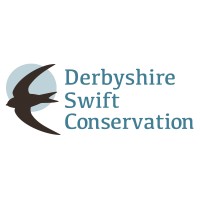Derbyshire Swift Conservation logo - Similar company to Bee Conservation