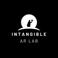 Intangible AR Labs logo - Similar company to The Intangible Labs