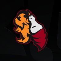 R!Ot Gaming