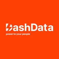 DashData logo - Similar company to Data Kingdom