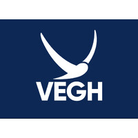 Vegh Automobiles logo - Similar company to Hop Electric