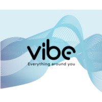 Vibe logo - Similar company to Nina