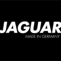 JAGUAR SOLINGEN logo - Similar company to Systemhaus Erdmann Gmbh & Co. Kg | Solingen