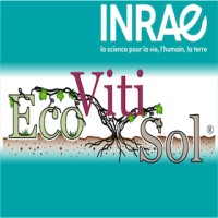 EcoVitiSol logo - Similar company to Leperco - Artisan Torréfacteur
