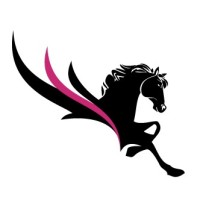 Imperium Commodity Search logo - Similar company to Commoditas Partners