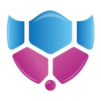 Ans Group logo - Similar company to B2B Technology Insights