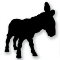 The Donkey