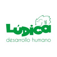 LudicaDH logo - Similar company to Divsub