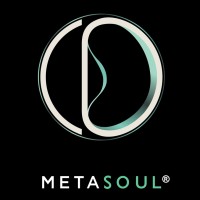 MetaSoul INC logo - Similar company to Nova Cluster