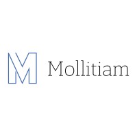 Mollitiam Partners Ltd logo - Similar company to Mollitiam Ab
