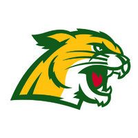 Northern Michigan University Wildcats logo - Similar company to Northern Michigan University Global Campus