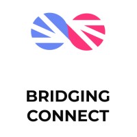 Bridging Connect logo - Similar company to Tinytriumphs