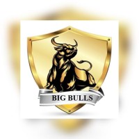 Big Bulls logo - Similar company to Certiwisehub