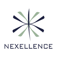 Nexellence logo - Similar company to Urmet Distribution