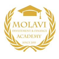Molavi Investment & Finance Academy logo - Similar company to Bornadel.Academy