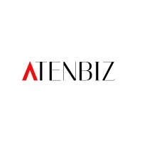 Aten Business Solutions logo - Similar company to Datum Decipher Analytics