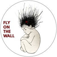 Fly On The Wall