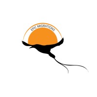 EpicMigrations logo - Similar company to Seenaaip