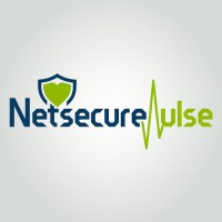 NetSecurePulse logo - Similar company to Esecure Solutions