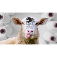 Stichting Textilium Tilburg logo - Similar company to Het Pieck