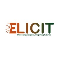 Elicit Solutions Ltd logo - Similar company to Gre8 Intelligence