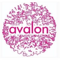 Avalon Praktijk voor Holistische Coaching logo - Similar company to Avalon Lichaamsgerichte Coaching En Therapie