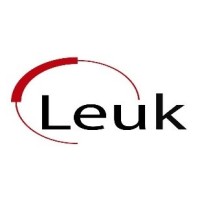Leuk Consultoria logo - Similar company to (Diseño Público)